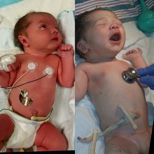 Meet your Posher, Kayce